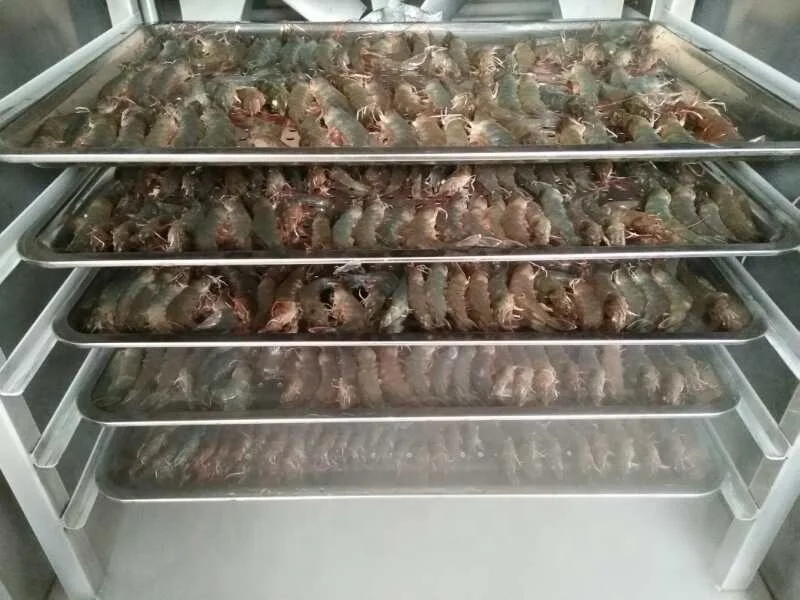 DJL liquid nitrogen blast freezer commercial shock box freezer/quick freezer  ultra low temperature chest