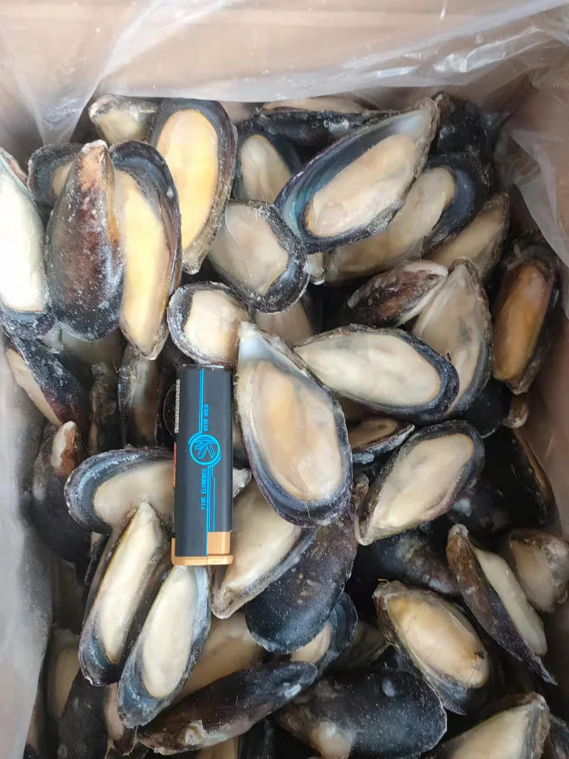 Frozen Half Shell Mussel
