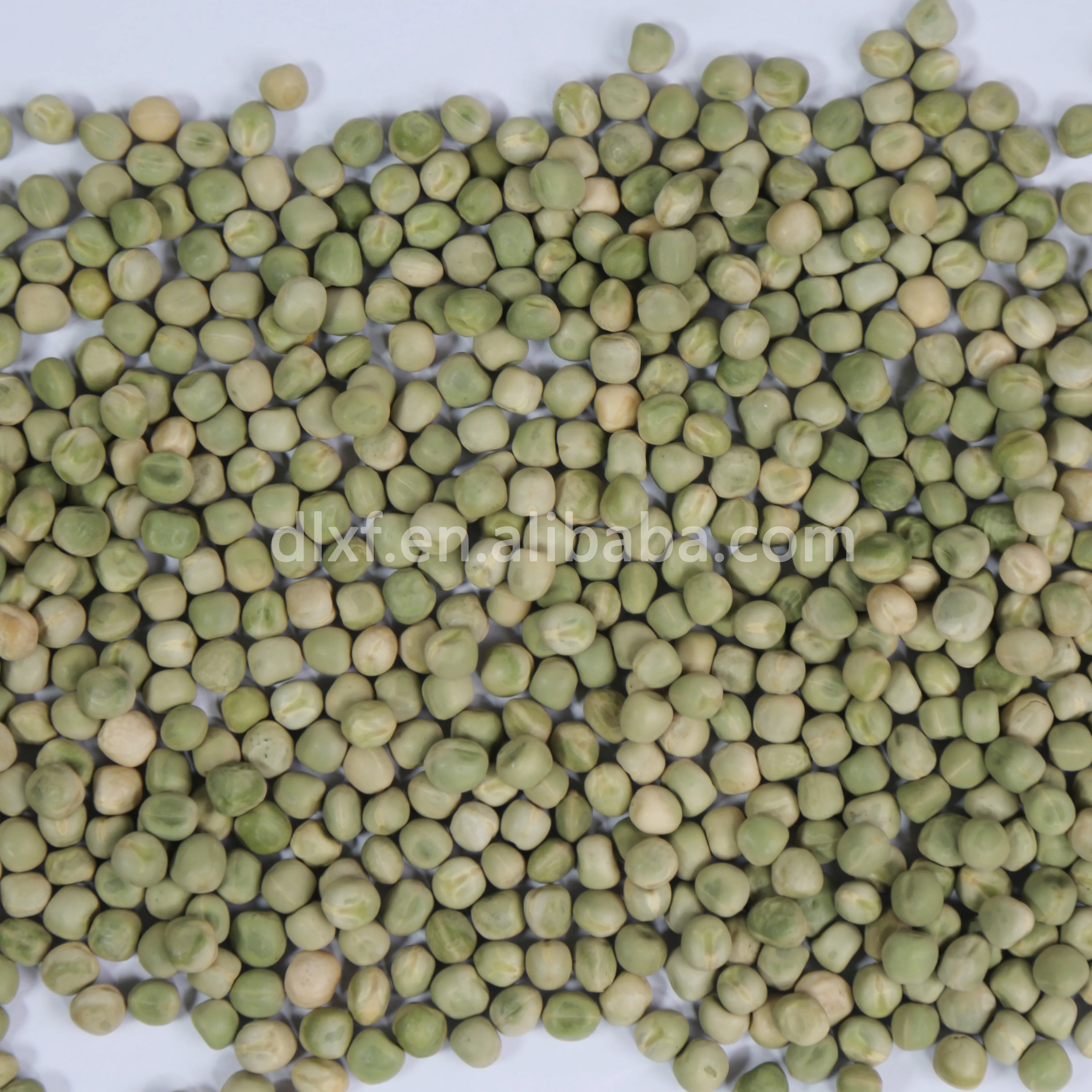 china good quality bulk package pea for sale