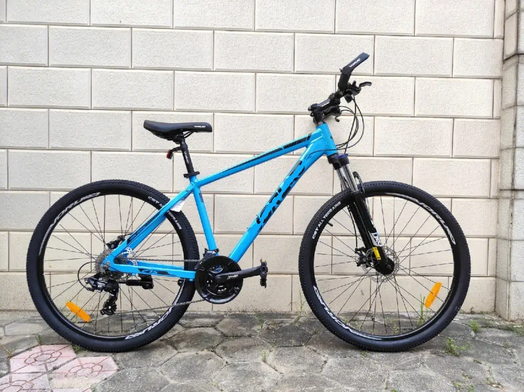 Denon Mountain 29 Inch Bicycle,carbon Frame Dual Disc Brakes Mountain Bike Aluminum Alloy 16 Carbon Fibre XDS Mountain Bike, Men