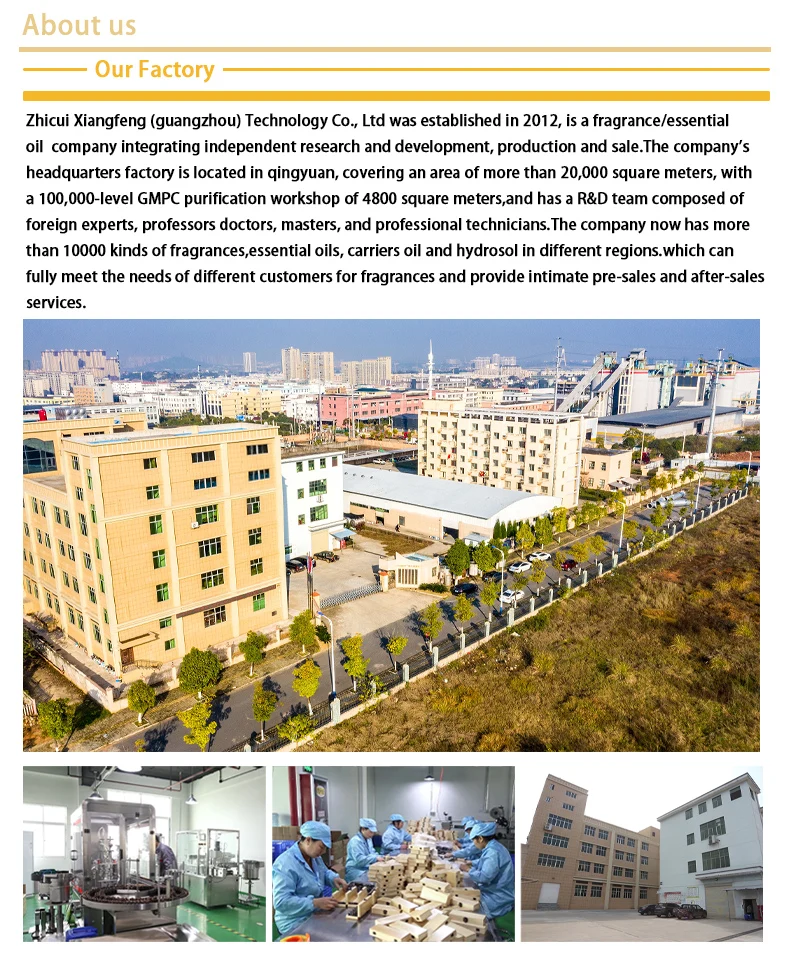 High Quality Pure Olive Oil for Cooking Natural Extra Virgin Olive Oil For Wholesale