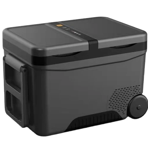 Автомобильный мини-холодильник с компрессором, 12 В/24 В