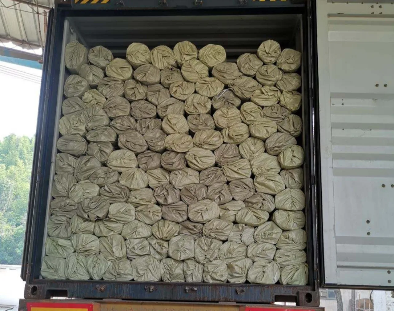 Bamboo Canes/ Bamboo Pole/ Raw Bamboo cheap price from Vietnam