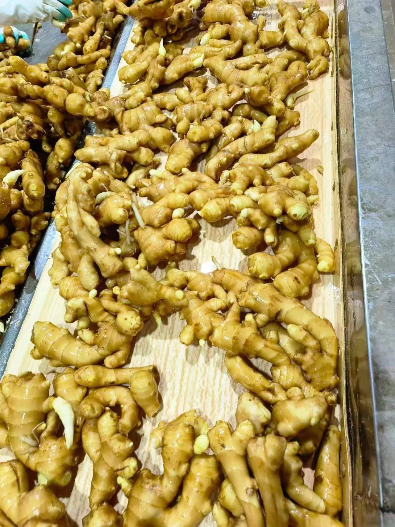 China Good quality dried bulk fresh ginger market price per ton wholesale gingerbuyers for buy dried ginger export