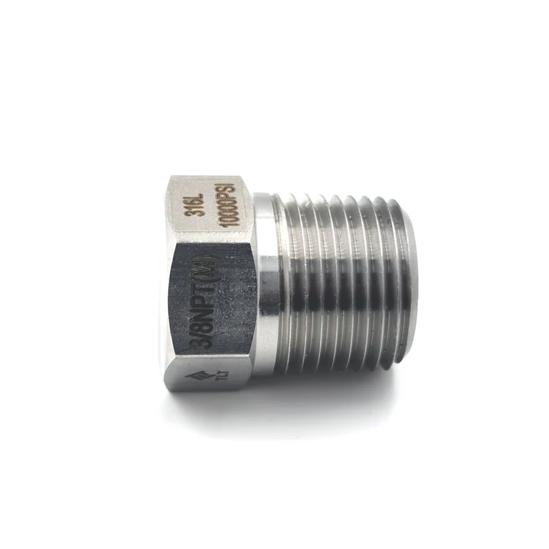 High Quality Stainless Steel 1/2 inch Testing  Pipe Fitting Plug