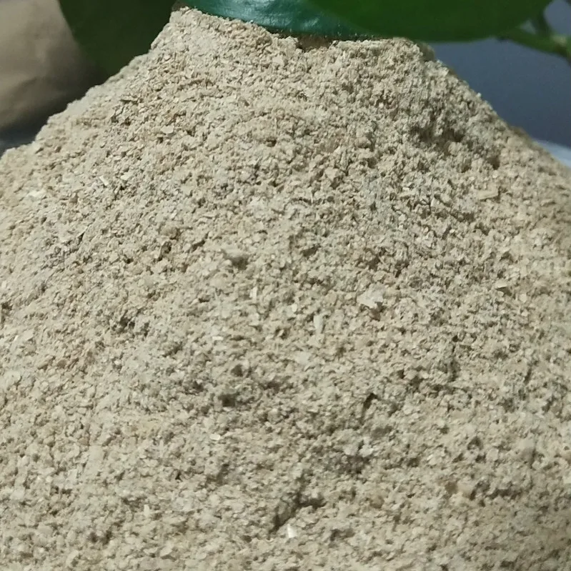 denitrifying bacteria  Anaerobion Microbial species used for water treatment