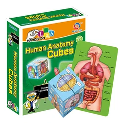 Hot Human Organs Anatomy Stem Early Education Toys Magic Cube for Kids