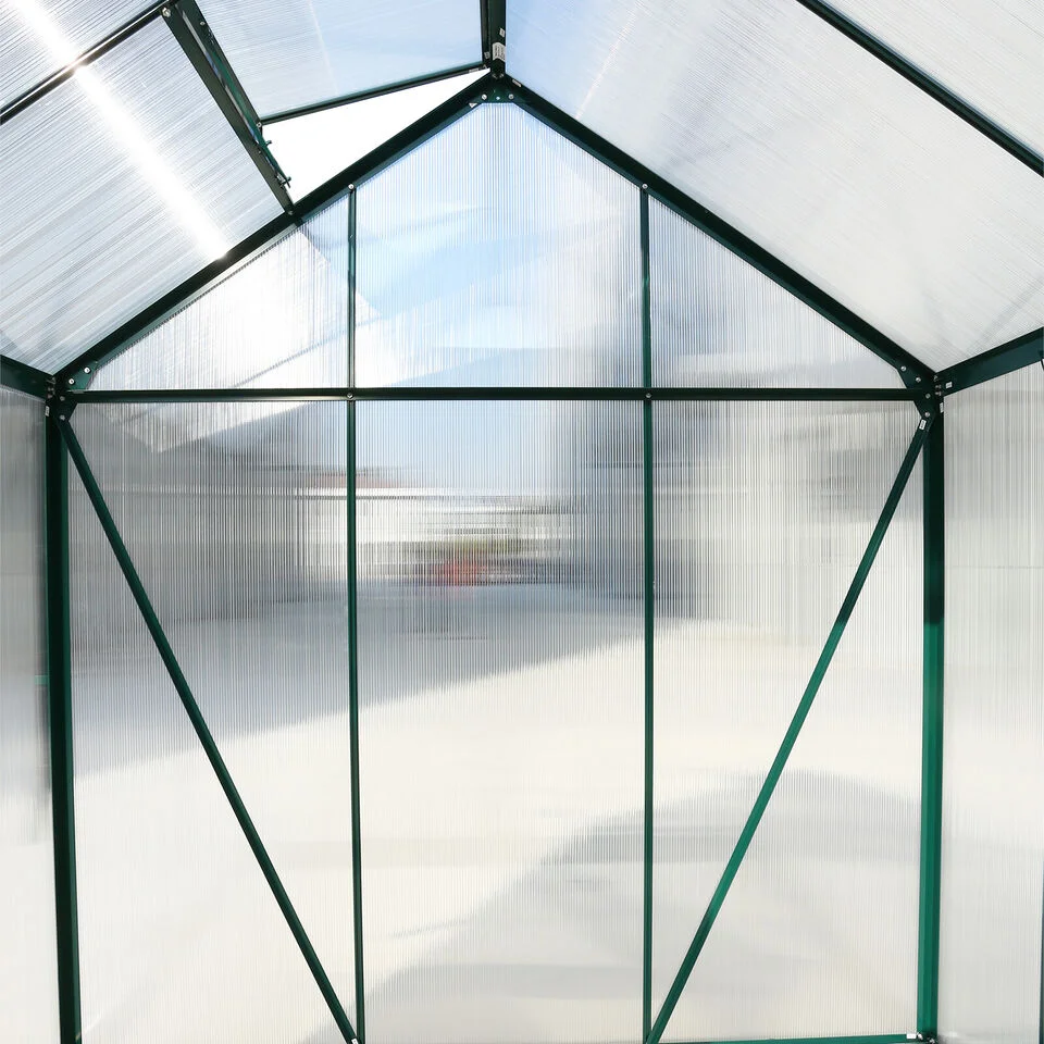 Xinxihang Polycarbonate Green House Walk in Aluminum PC Small Garden Greenhouses for Sale