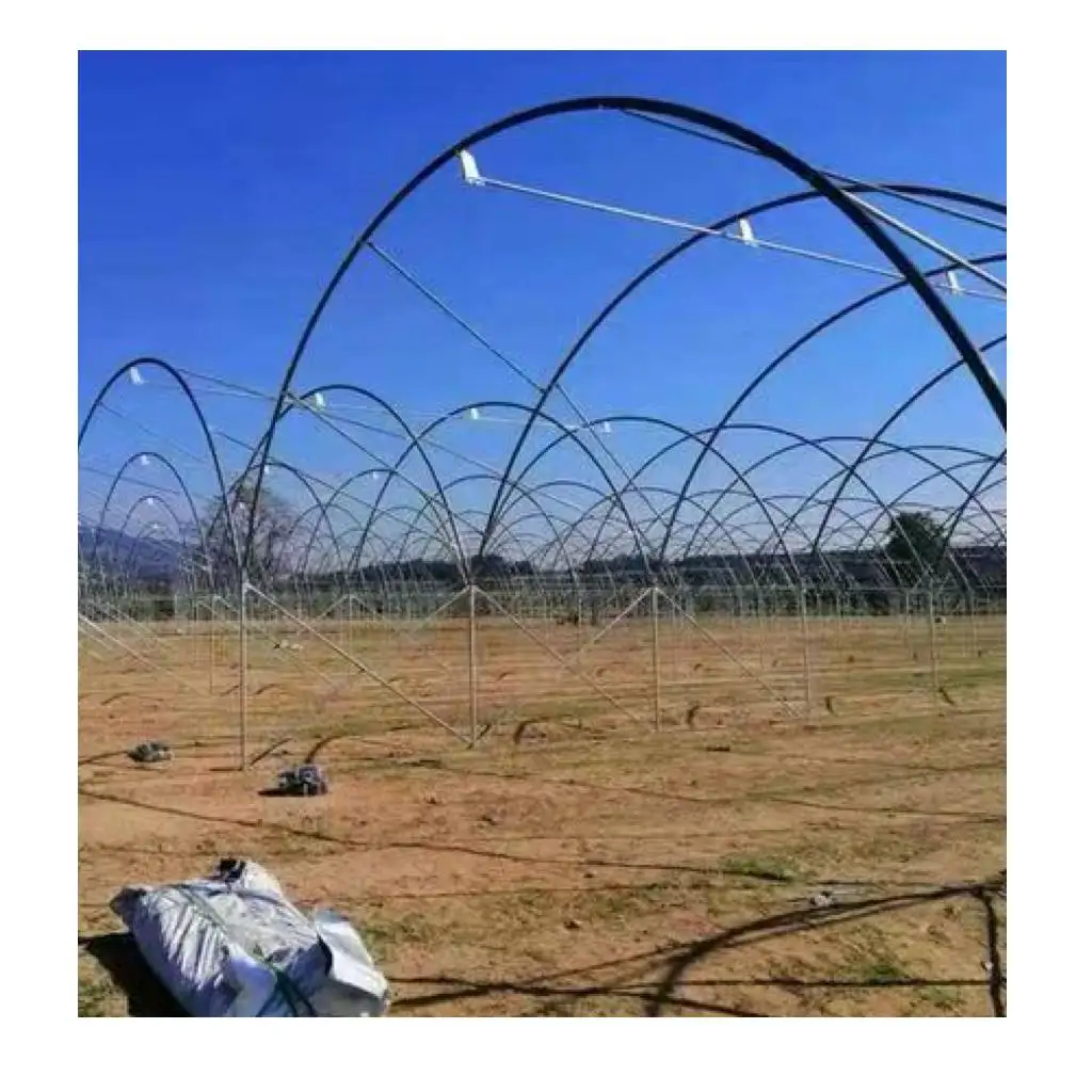 Wholesale Simple Installation Farm And Garden Greenhouses Rain Shelter Greenhouses
