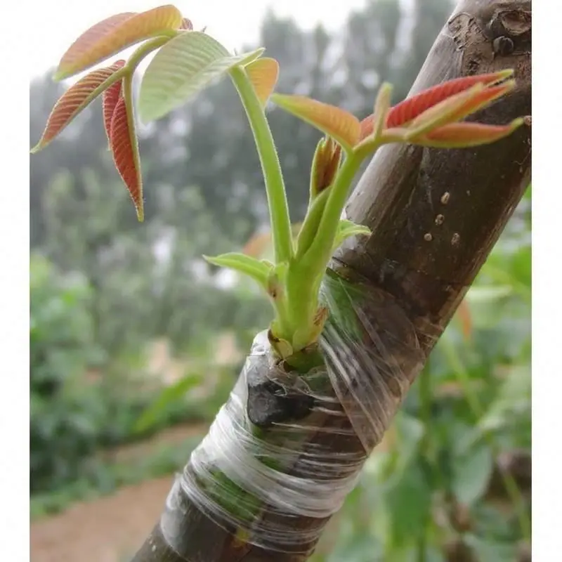 grafting pruning tool gardening tools grafting cutting scissors