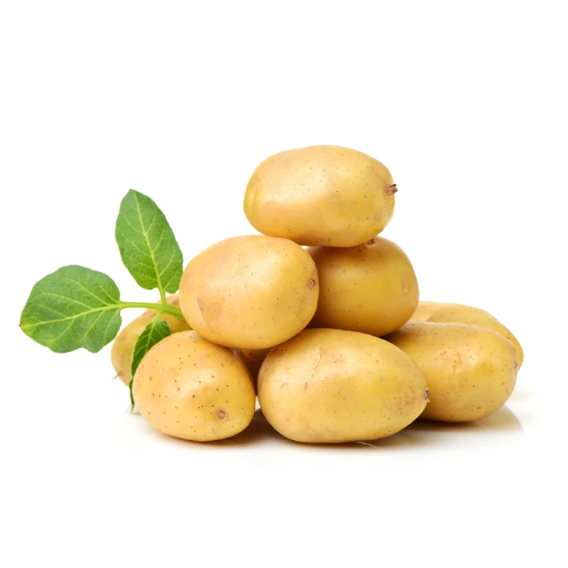 High Quality Bright Yellow Fresh Potato Export Wholesale At Low Price