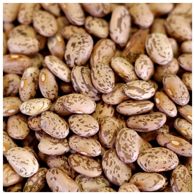 Natural Premium Pinto Kidney Beans - High Quality, Best Price, Directly From Producers In Mexico