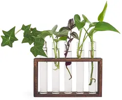 Plant Terrarium with Wooden Stand, Wall Hanging Glass Planter Propagation Station with 5 Test Tube