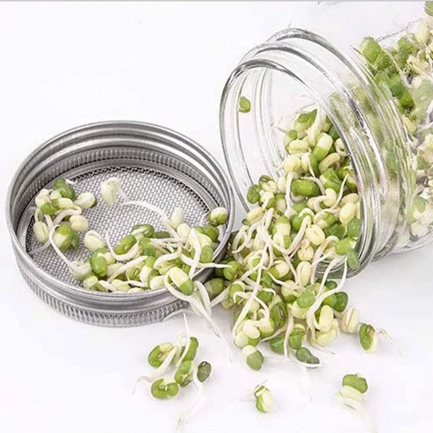 304 Surgical Stainless Steel Sprouting Lids for Wide Mouth Mason Jars