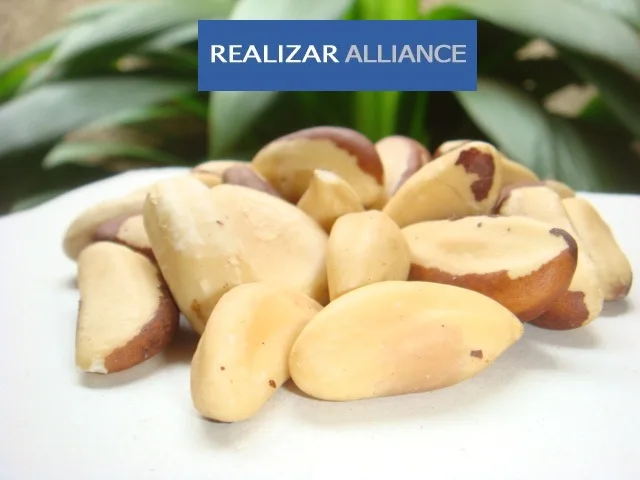 Brazil nut kernels - midget size - Shelled Brazil nut - Midget size grade between 160-180 nuts per pound