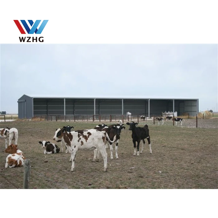 Сборная стальная конструкция Cowshed молочная ферма для крупного рогатого