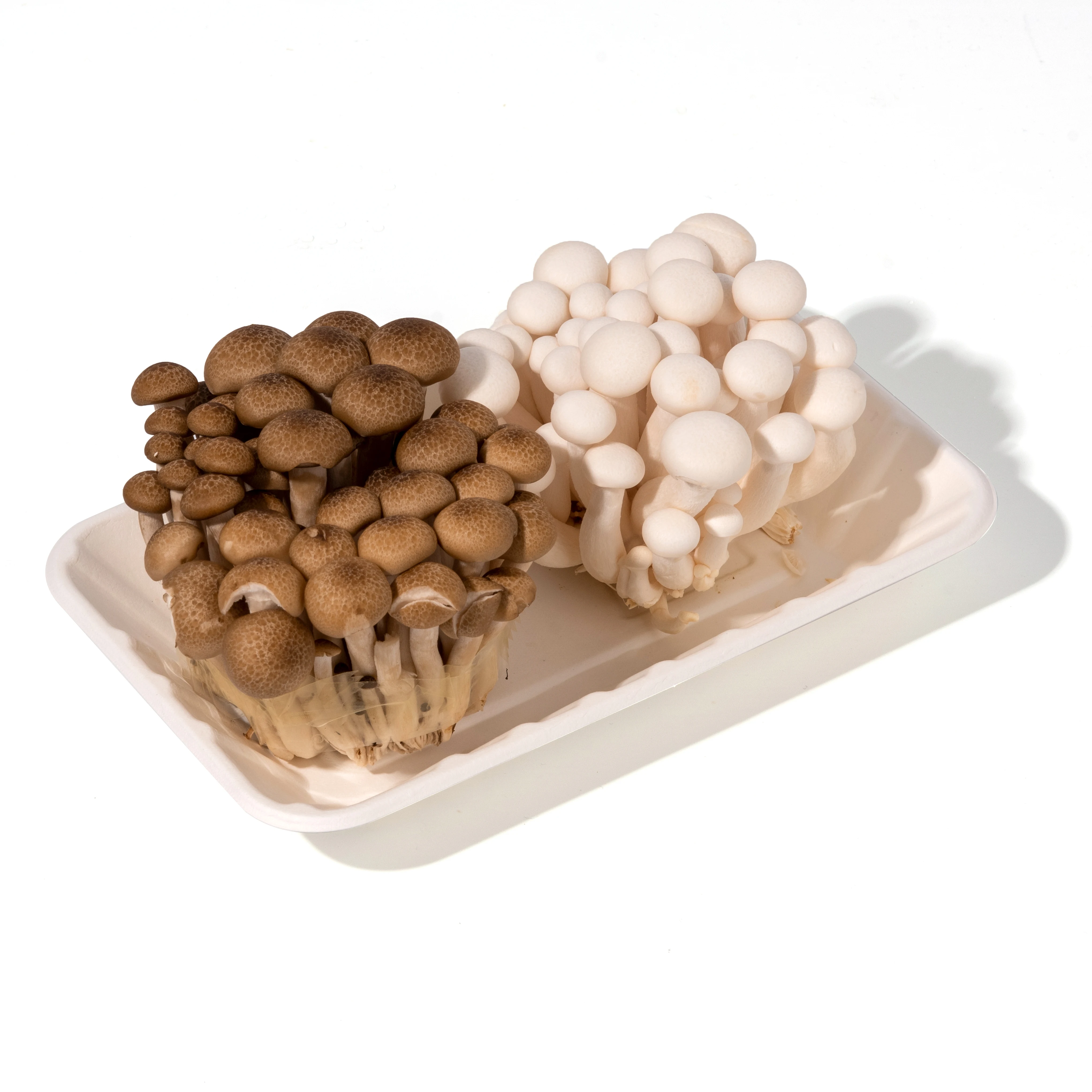 Disposable Biodegradable tableware environmental protection bagasse Rectangle Tray