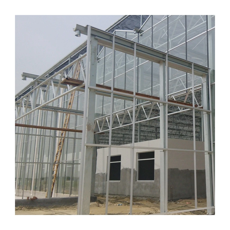 
Hot selling glass greenhouse garden modern glass greenhouse glass greenhouses for agriculture 