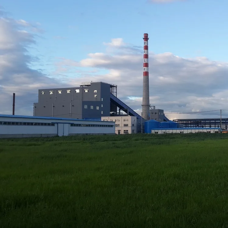 Энергосберегающие промышленные центральные тепловые газовые паровые котлы на биомассе цена электростанцию