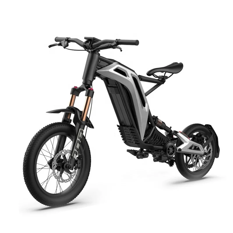 LEWEE Factory Direct Price 750W 48V Electric Bicycle E-Bike Central Motor Sport Electric Motorcycle Foldable Fat Tire E-Bike