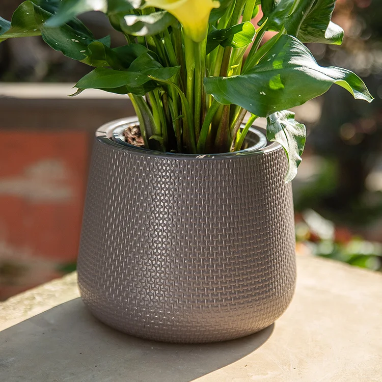 
Wholesale small cup shaped cup shaped biodegradable plastic orchid flower pot 