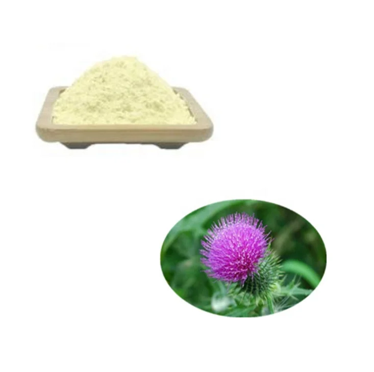 Good Quality Silybum Marianum Flower Extract Protein Powder