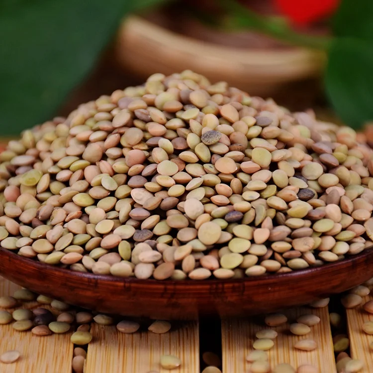 
Natural growth Chinese lentils 15% moisture bulk dried lentils 