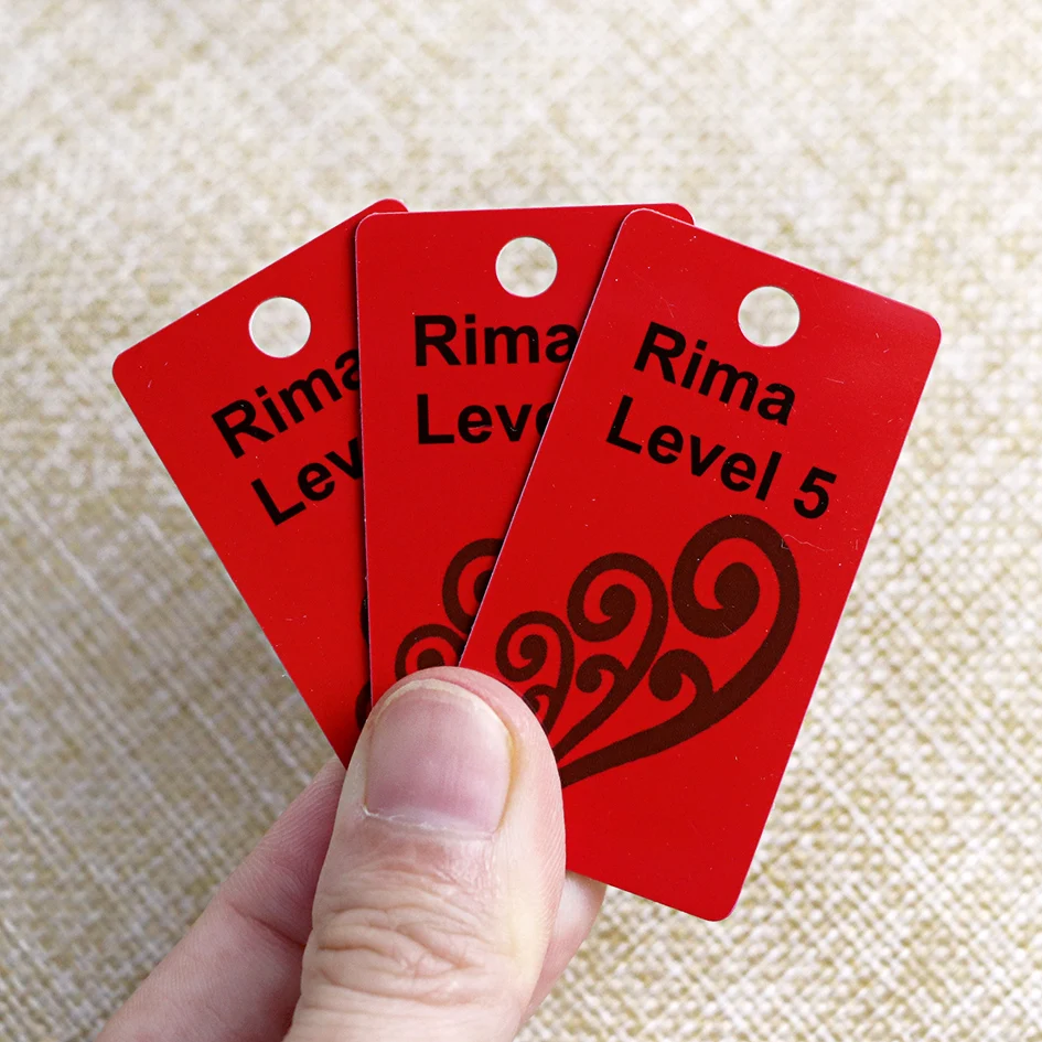 Customized Small Size Access Control Key Tag Mini PVC Loyalty VIP Membership Cards