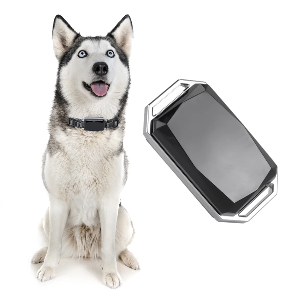 Best Price G58 Waterproof Pet GPS Tracker 4G With 2000MAh Long Lasting Battery Free Mobile APP Support Dog Activity Monitoring