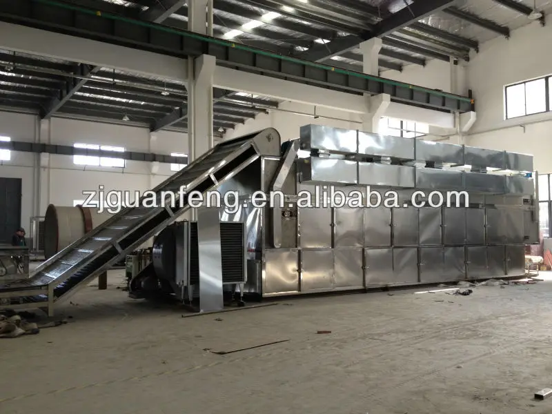 Continuous Industrial Conveyor Mesh Belt Dryer for Fruit Vegetable Seaweed Pepper Herb Chilli Coconut