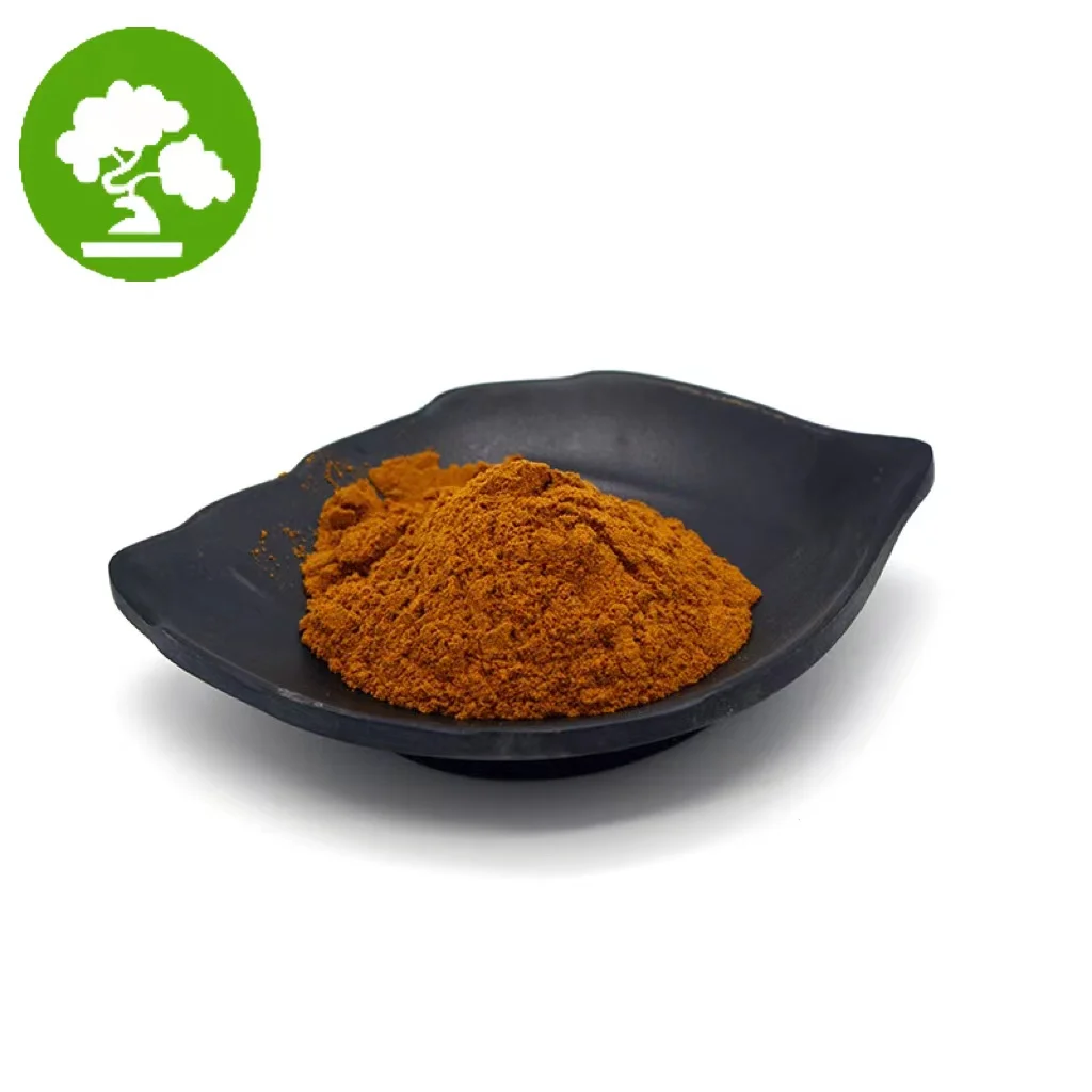 Wholesale Price Burdock Root Extract Powder 10:1 Burdock Root Powder