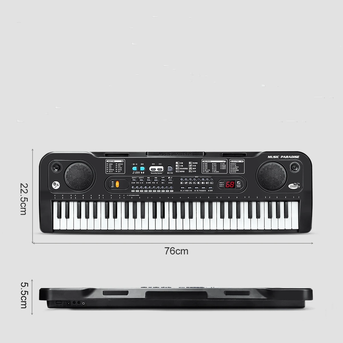 61 Keys Electronic Keyboard Piano with Keyboard Stand Digital Portable Synthesizer Keyboards for Kid Beginner Teaching