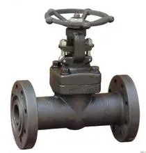 Forged Carbon Steel A105 Gate Valve 300PSI Flanged End