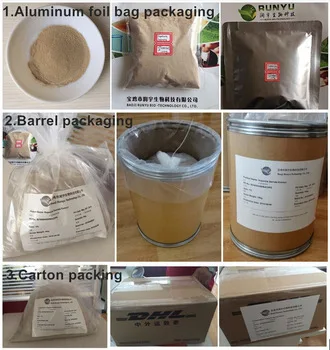 EU standards anthocyanin extract Blueberry Extract in bulk price