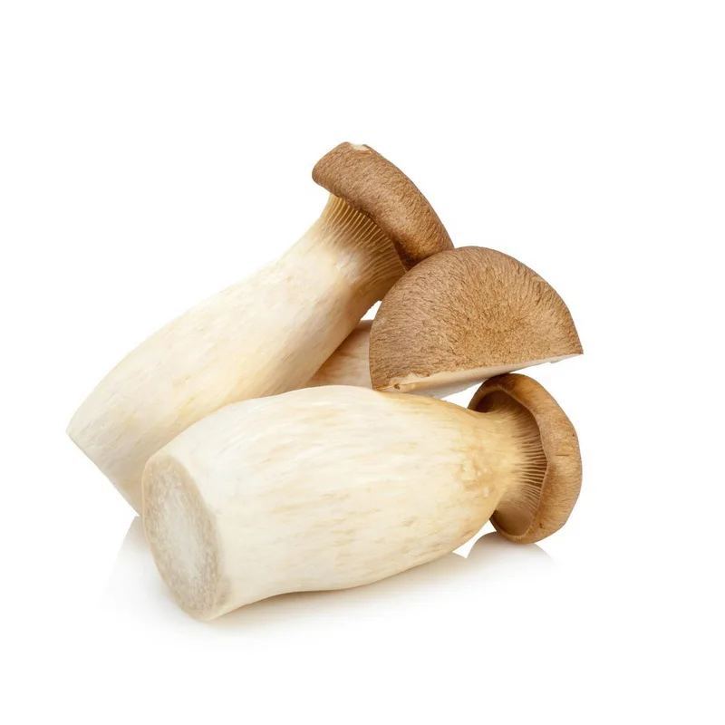 Wholesale price king oyster mushroom in store for mushroom buyers