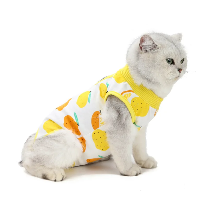 cat recovery suit (4).jpg