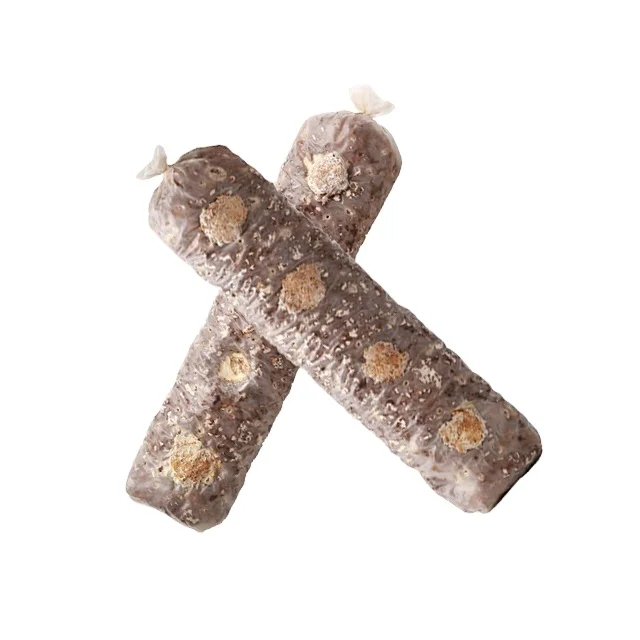 
shiitake mushroom spawn cultivation seed log 