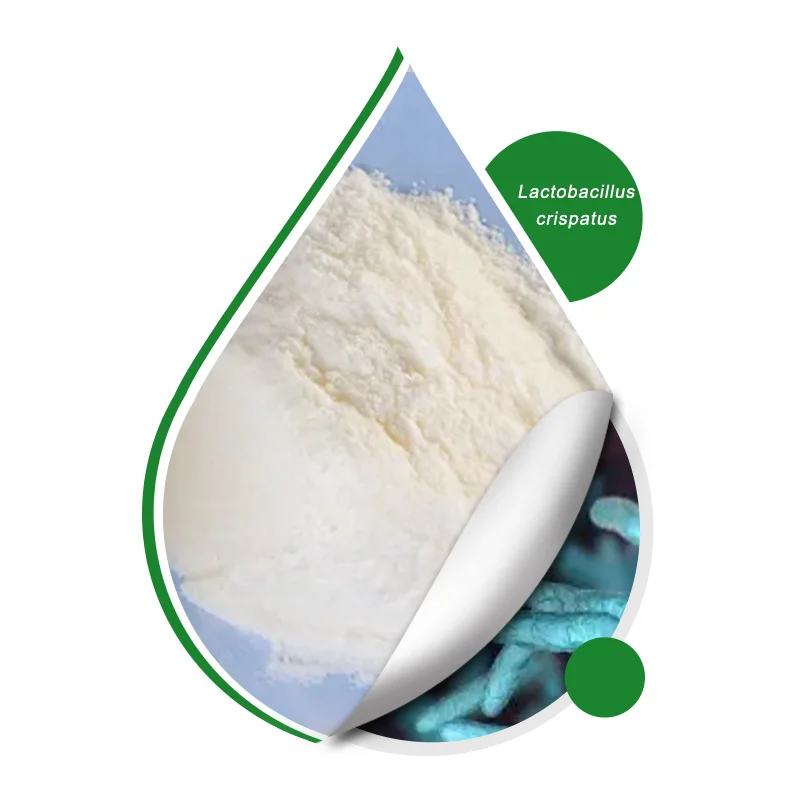Высокоактивный порошок Lactobacillus Crispatus 100 миллиардов сублимированный пробиотический для здоровья женщин