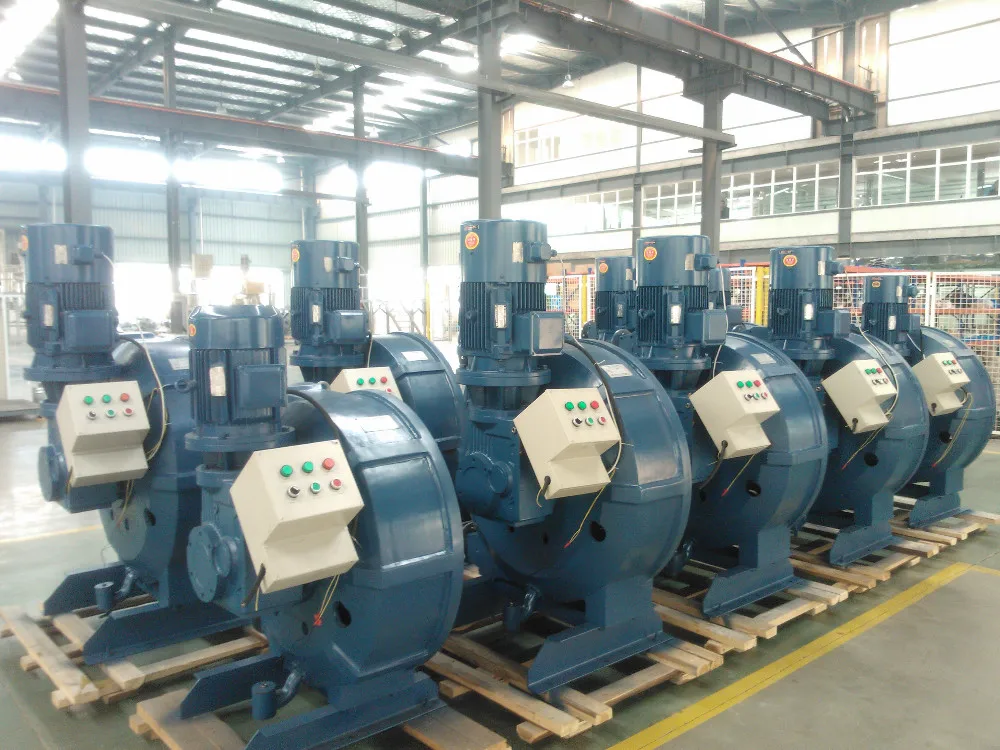 TWO HEAD Professional Good Quality Best price industrial hose pump