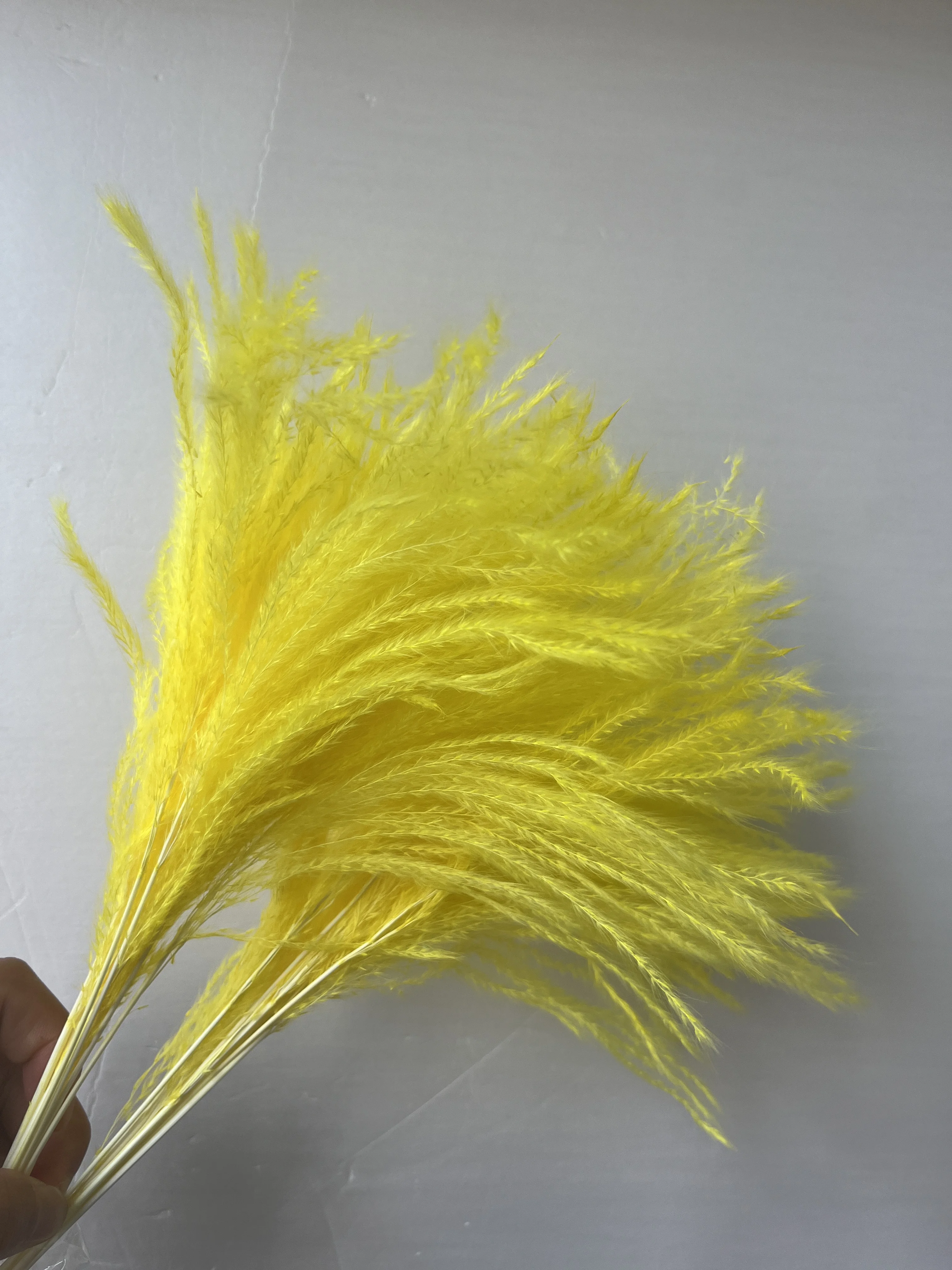 Factory Wholesale Feather Grass Dried Flower Bouquet Home Decoration Flowers
