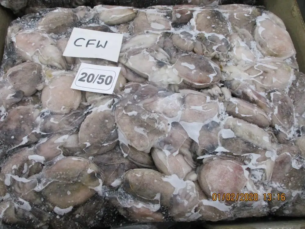 Детская гребешка, полностью очищенная, IQF