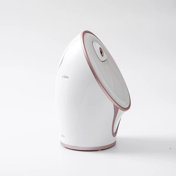 Cold and Hot Facial Vaporizer Steamer Profesional Face Steamer