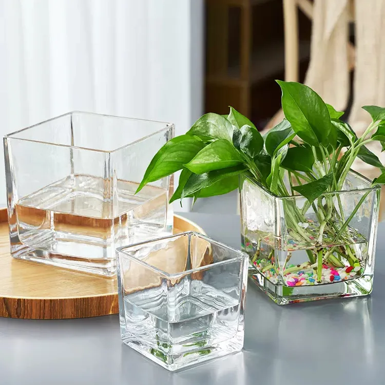 Square shape Cheap Modern Light Luxury Wedding Home Decoration Flower Grey Hydroponic Glass Container Simple Clear Glass Vases