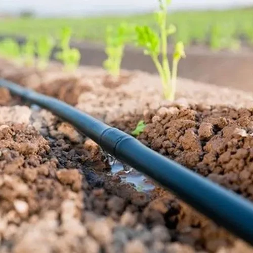 Agricultural vegetable water-saving drip pipe tobacco corn Horticultural greenhouse Drip Pipe
