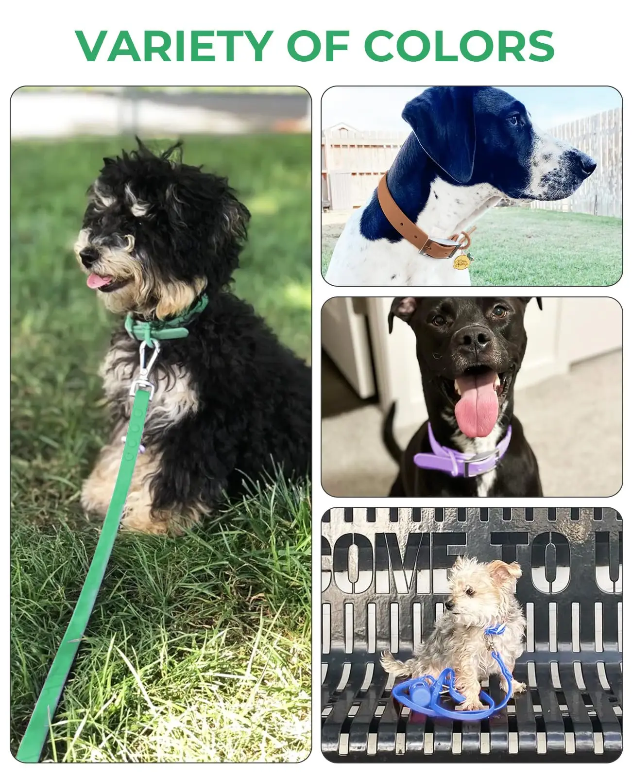Hand Free Dog Leash and Collar Set Combo Durable Zinc Alloy Hook Metal Clasp Custom Waterproof Pet Dog Lead for Active Dogs
