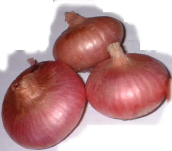 
Chinese exporters fresh market prices red onion for importers and buyers wholesale 