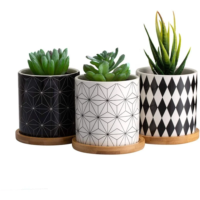 3.2 Inch Succulent Plant Pots, Small Modern Flower Ceramic Planter Indoor with Bamboo Tray for Cactus, Herbs, Home, Set of 3