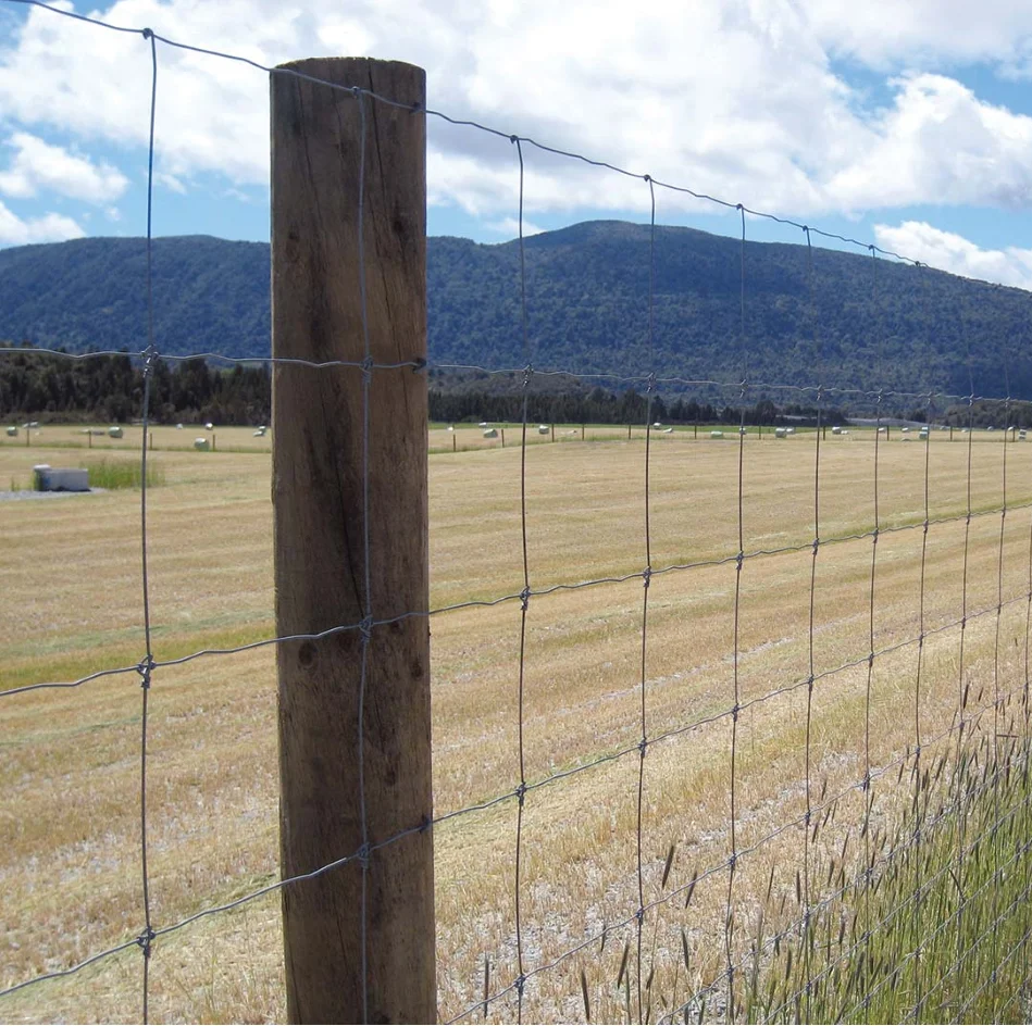Factory Supply I Type Deer Stay Gate Hot Dip Galvanized Fixed Knot Woven Wire Field Fence