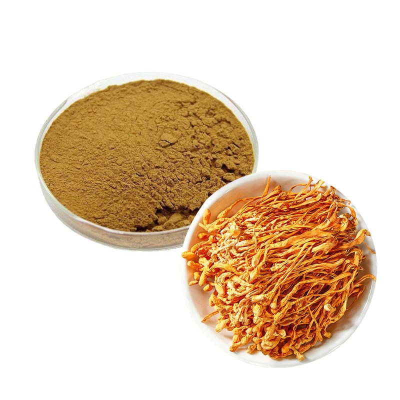 Organic 10:1 Mushroom Ground Powder Health Cordycepin 1% Cordyceps Sinensis Extract Cordyceps Militaris Powder 1 Kg