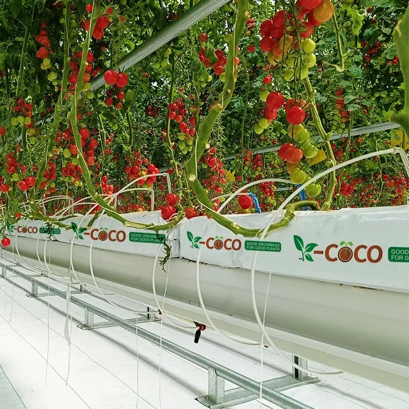 Hydroponic Growing System PVC Nft Channel Pipe Greenhouse Farm Hydroponic growing Kit Vertical Tower Growing System